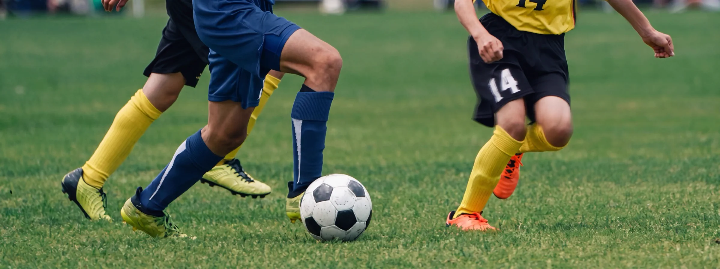 Sports Groups